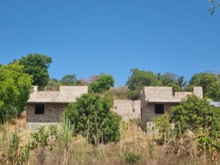 Today we are celebrating 1 year of being a registered charity 🎉

What a year it has been. We have achieved so much in such a short space of time, and none of it would have been possible without the incredible support we’ve received along the way.

From securing land, building access, and pushing forward with development - every step has been made possible by the kindness, generosity, and belief of our community and supporters near and far.

It’s been a very busy year, but every bit of hard work has been so rewarding as we watch this vision come to life.

And we’re not stopping here…
This May, we are hoping to reach a huge milestone - getting a roof on the shelter 🏠

To everyone who has supported us, donated, shared, volunteered, or simply believed in what we are doing - thank you. You are truly making a difference.

The mothers and children who will find safety, support, and hope in this shelter will be forever grateful ❤️

Here’s to the journey so far… and everything still to come.

•

•

#Celebrate #Charity #RegisteredCharity #Support #Community